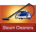 woman cleaning rug with ladybug steam cleaner