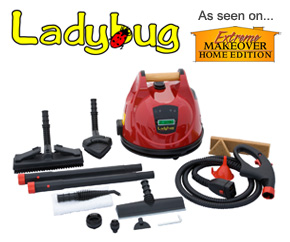 ladybug steam cleaners with accessories