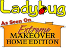 Ladybug Vapor Cleaner as seen on TV